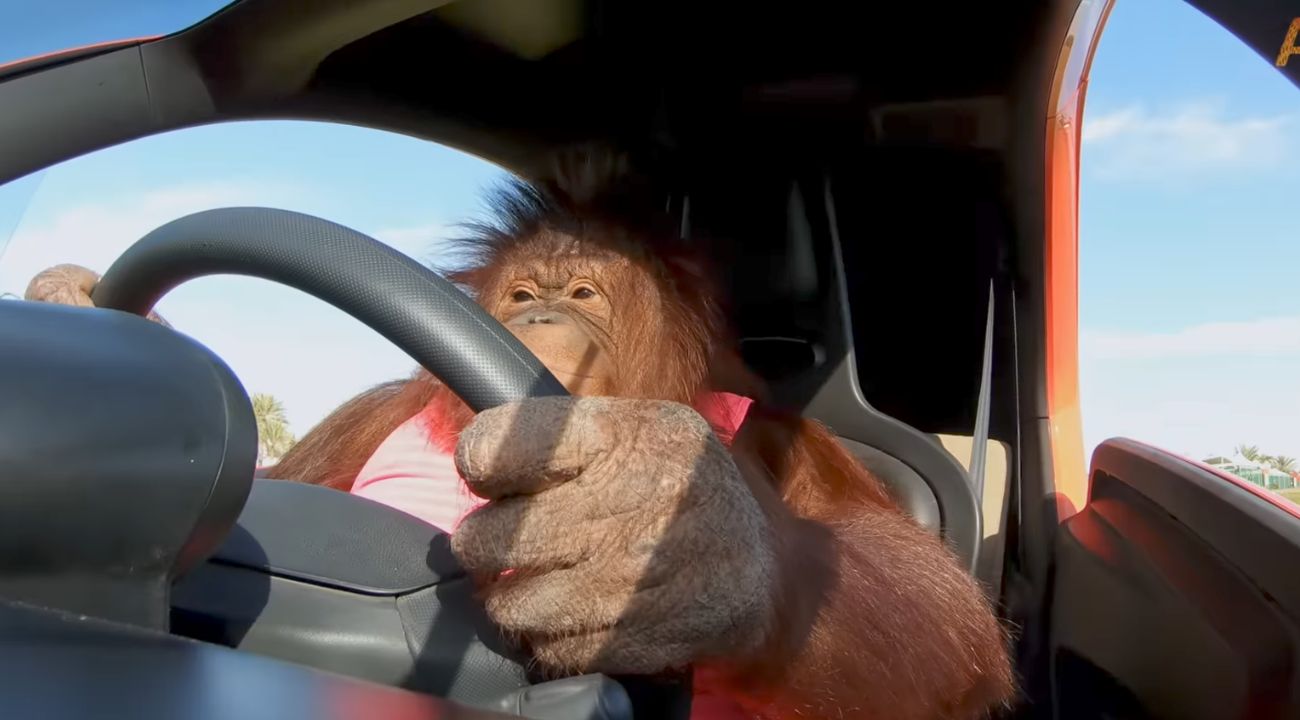 orangotango-auto-elettrica